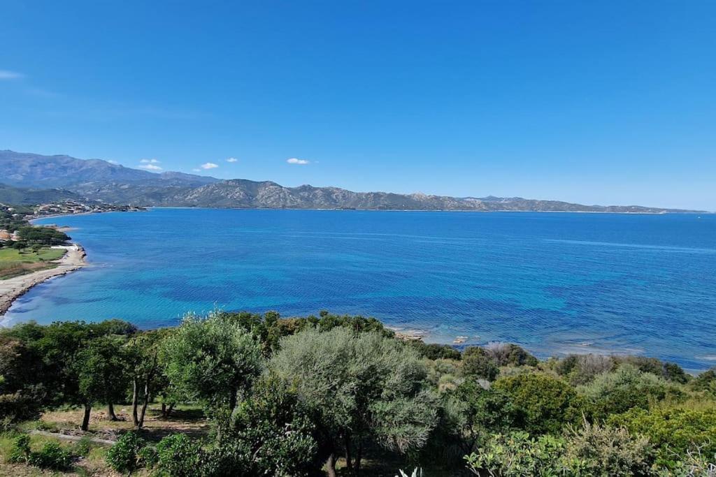 Appartement Sur La Baie De Saint Florent Patrimonio Bagian luar foto
