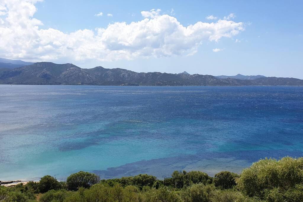 Appartement Sur La Baie De Saint Florent Patrimonio Bagian luar foto