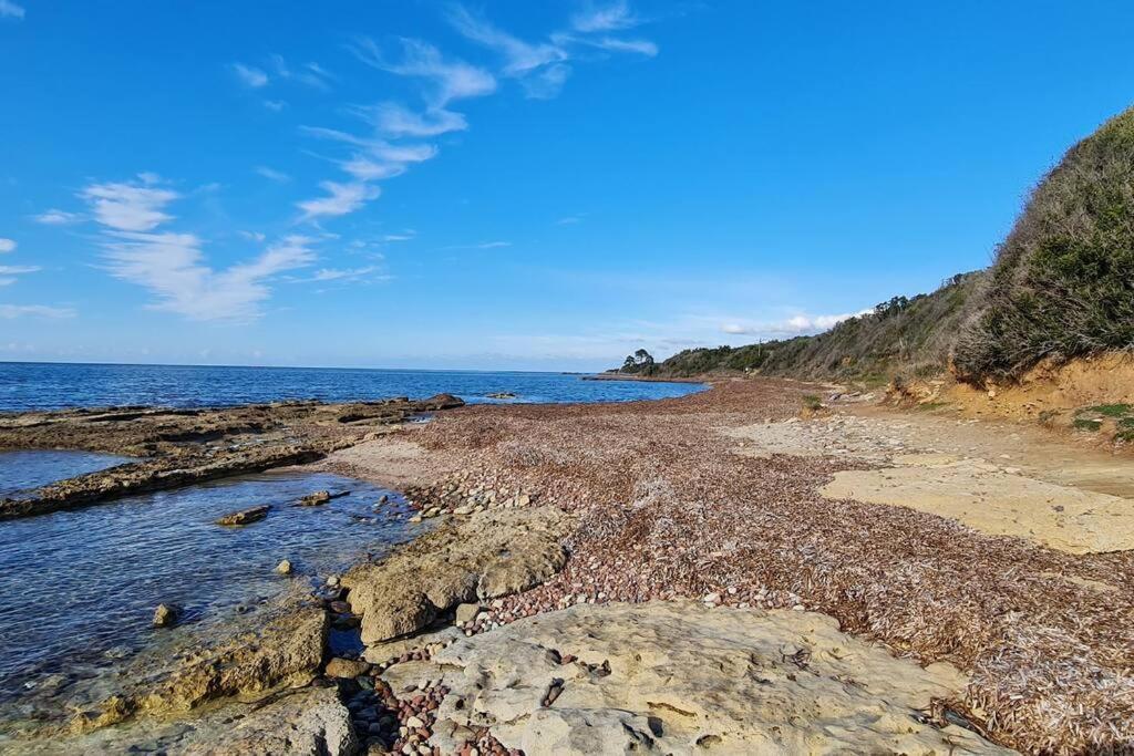 Appartement Sur La Baie De Saint Florent Patrimonio Bagian luar foto