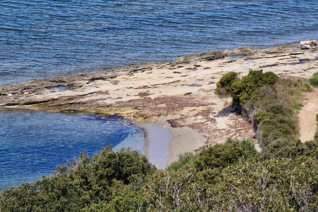 Appartement Sur La Baie De Saint Florent Patrimonio Bagian luar foto
