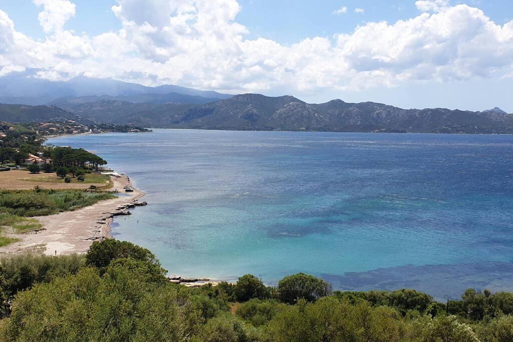Appartement Sur La Baie De Saint Florent Patrimonio Bagian luar foto