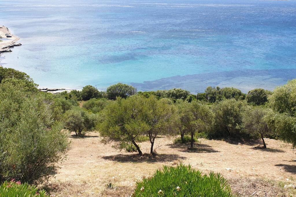 Appartement Sur La Baie De Saint Florent Patrimonio Bagian luar foto